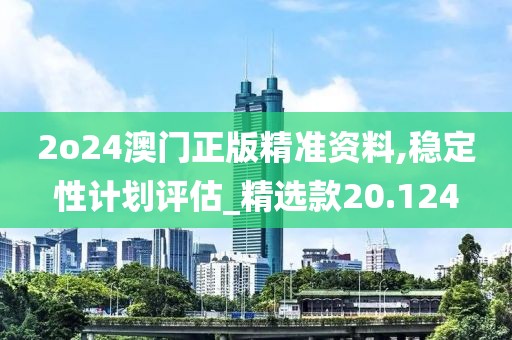 2o24澳门正版精准资料,稳定性计划评估_精选款20.124
