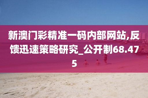新澳门彩精准一码内部网站,反馈迅速策略研究_公开制68.475
