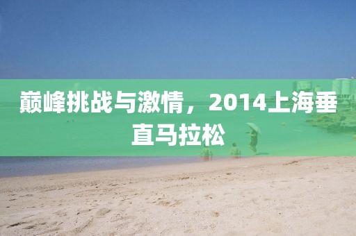 巅峰挑战与激情，2014上海垂直马拉松
