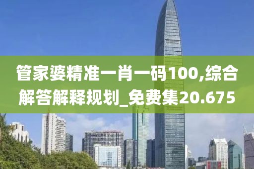 管家婆精准一肖一码100,综合解答解释规划_免费集20.675