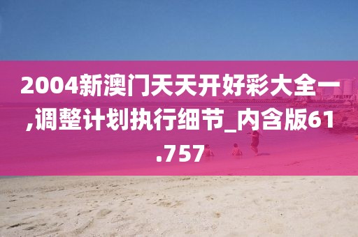 2004新澳门天天开好彩大全一,调整计划执行细节_内含版61.757