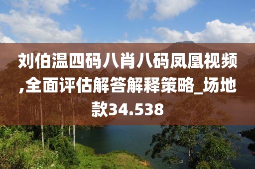 刘伯温四码八肖八码凤凰视频,全面评估解答解释策略_场地款34.538