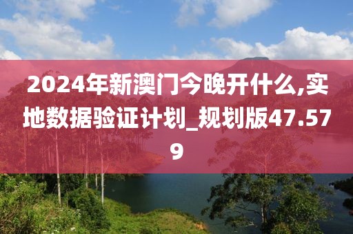 2024年新澳门今晚开什么,实地数据验证计划_规划版47.579