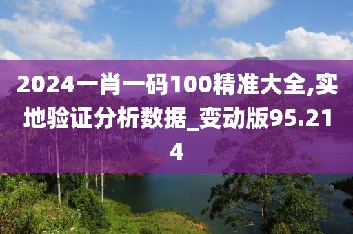 2024一肖一码100精准大全,实地验证分析数据_变动版95.214