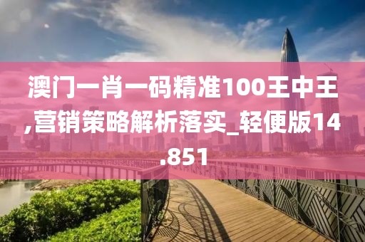 澳门一肖一码精准100王中王,营销策略解析落实_轻便版14.851