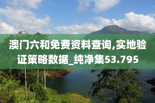 澳门六和免费资料查询,实地验证策略数据_纯净集53.795