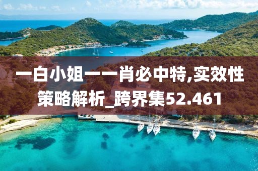 一白小姐一一肖必中特,实效性策略解析_跨界集52.461