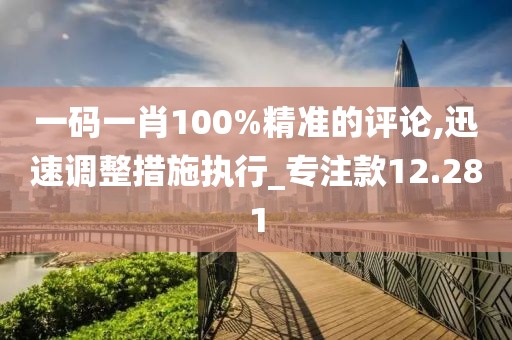 一码一肖100%精准的评论,迅速调整措施执行_专注款12.281