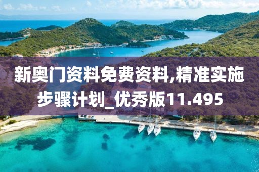 新奥门资料免费资料,精准实施步骤计划_优秀版11.495