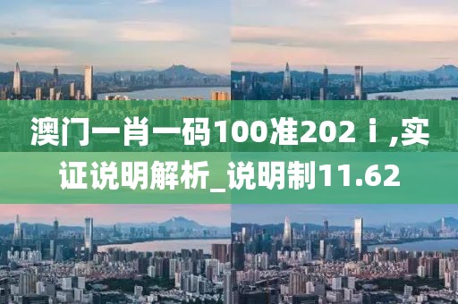 澳门一肖一码100准202ⅰ,实证说明解析_说明制11.62