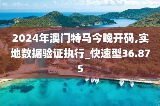 2024年澳门特马今晚开码,实地数据验证执行_快速型36.875