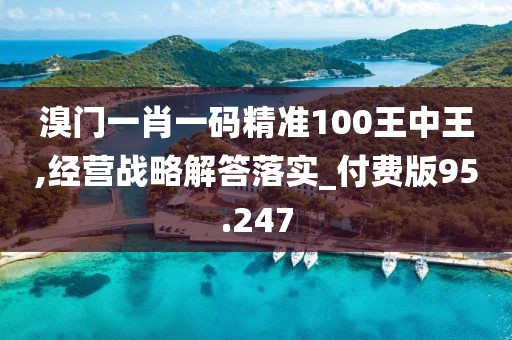 溴门一肖一码精准100王中王,经营战略解答落实_付费版95.247