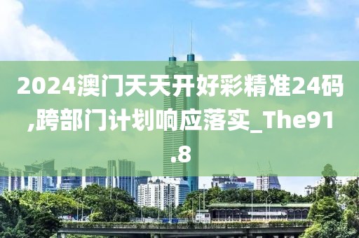 2024澳门天天开好彩精准24码,跨部门计划响应落实_The91.8