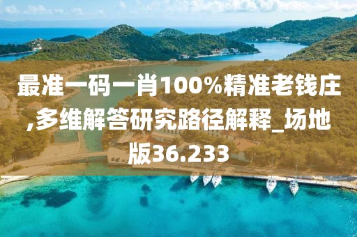 最准一码一肖100%精准老钱庄,多维解答研究路径解释_场地版36.233