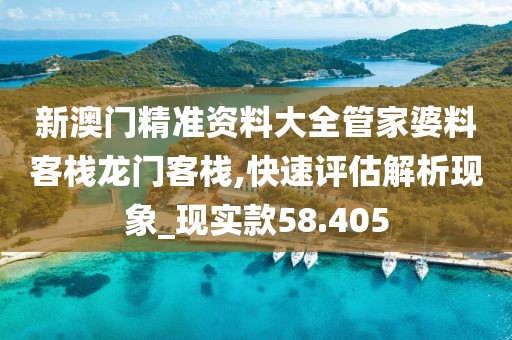 新澳门精准资料大全管家婆料客栈龙门客栈,快速评估解析现象_现实款58.405