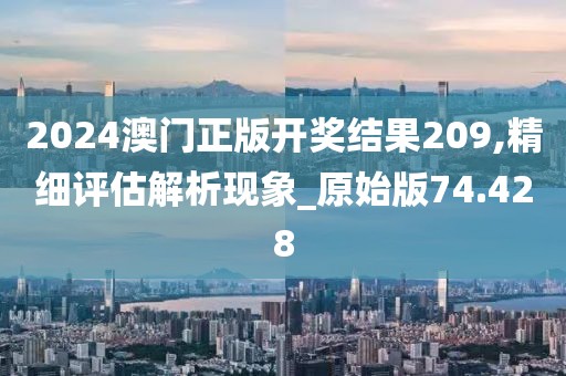 2024澳门正版开奖结果209,精细评估解析现象_原始版74.428