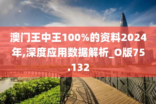 澳门王中王100%的资料2024年,深度应用数据解析_O版75.132