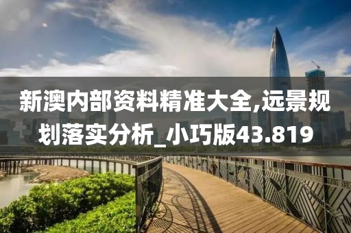新澳内部资料精准大全,远景规划落实分析_小巧版43.819