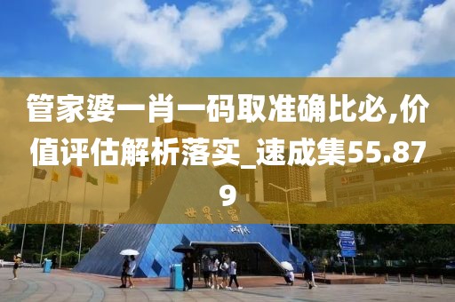 管家婆一肖一码取准确比必,价值评估解析落实_速成集55.879