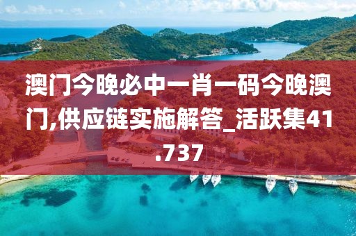 澳门今晚必中一肖一码今晚澳门,供应链实施解答_活跃集41.737