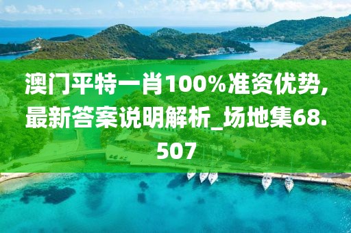 澳门平特一肖100%准资优势,最新答案说明解析_场地集68.507