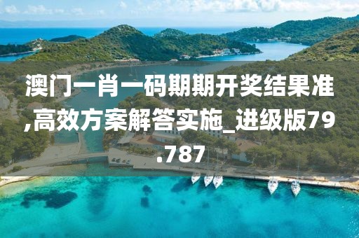 澳门一肖一码期期开奖结果准,高效方案解答实施_进级版79.787