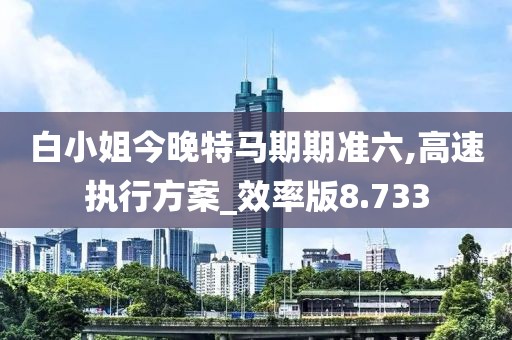 白小姐今晚特马期期准六,高速执行方案_效率版8.733