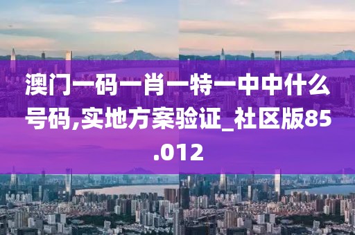 澳门一码一肖一特一中中什么号码,实地方案验证_社区版85.012