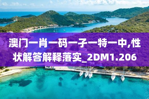 澳门一肖一码一孑一特一中,性状解答解释落实_2DM1.206