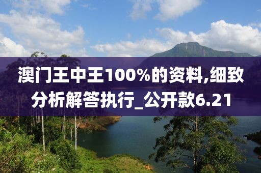 澳门王中王100%的资料,细致分析解答执行_公开款6.21