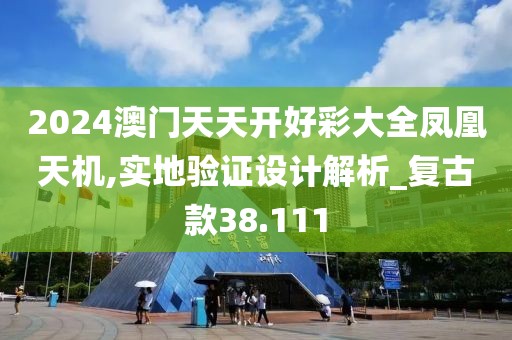 2024澳门天天开好彩大全凤凰天机,实地验证设计解析_复古款38.111