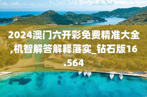 2024澳门六开彩免费精准大全,机智解答解释落实_钻石版16.564