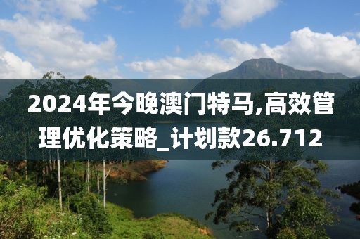 2024年今晚澳门特马,高效管理优化策略_计划款26.712