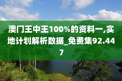 澳门王中王100%的资料一,实地计划解析数据_免费集92.447