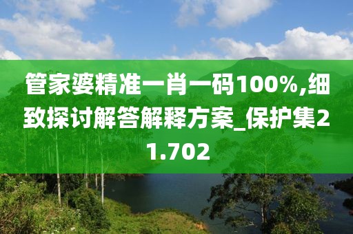 管家婆精准一肖一码100%,细致探讨解答解释方案_保护集21.702