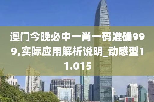 澳门今晚必中一肖一码准确999,实际应用解析说明_动感型11.015