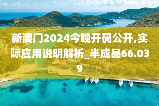 新澳门2024今晚开码公开,实际应用说明解析_半成品66.039