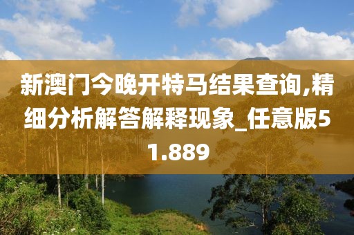 新澳门今晚开特马结果查询,精细分析解答解释现象_任意版51.889