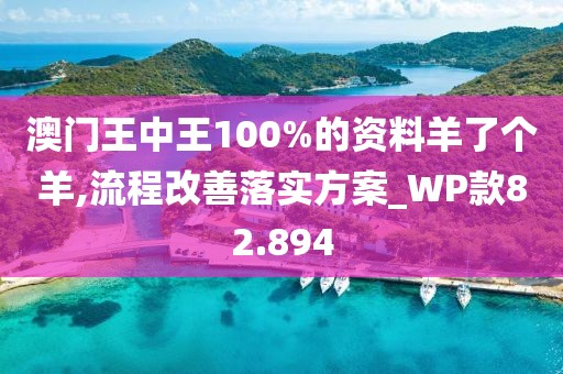 澳门王中王100%的资料羊了个羊,流程改善落实方案_WP款82.894