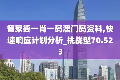 管家婆一肖一码澳门码资料,快速响应计划分析_挑战型70.523
