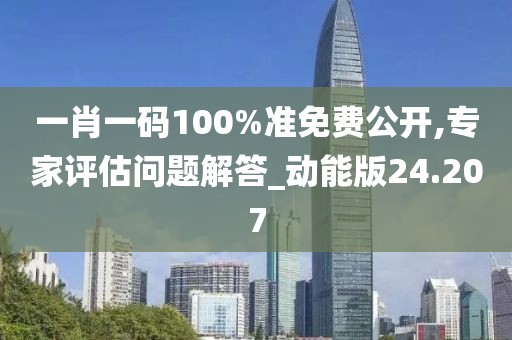 一肖一码100%准免费公开,专家评估问题解答_动能版24.207