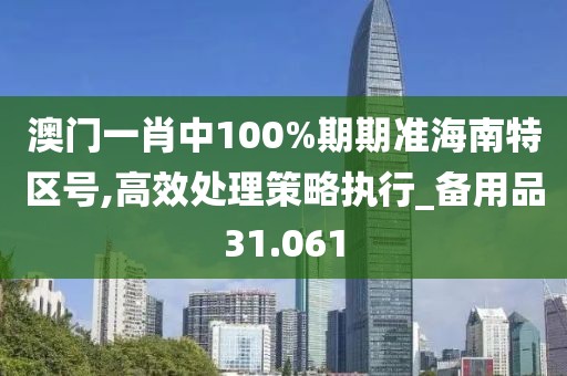 澳门一肖中100%期期准海南特区号,高效处理策略执行_备用品31.061