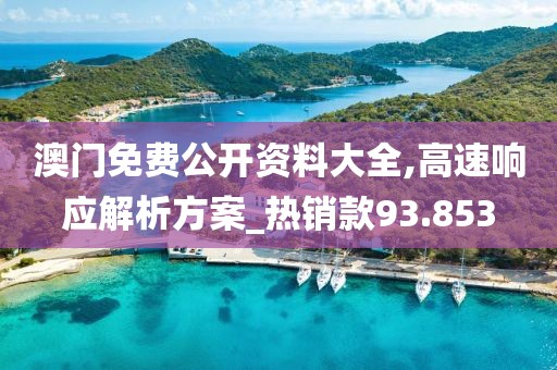 澳门免费公开资料大全,高速响应解析方案_热销款93.853