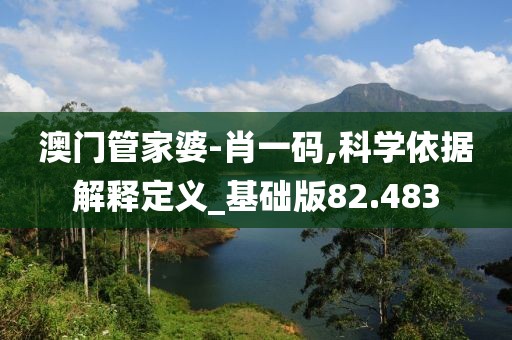 澳门管家婆-肖一码,科学依据解释定义_基础版82.483