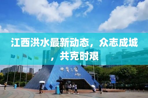 江西洪水最新动态，众志成城，共克时艰