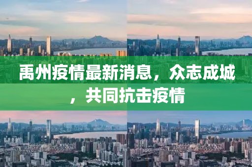 禹州疫情最新消息，众志成城，共同抗击疫情