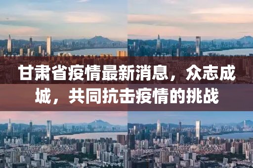 甘肃省疫情最新消息，众志成城，共同抗击疫情的挑战