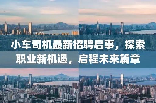 小车司机最新招聘启事，探索职业新机遇，启程未来篇章