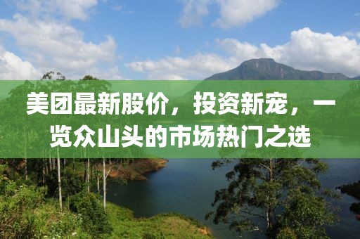 美团最新股价，投资新宠，一览众山头的市场热门之选
