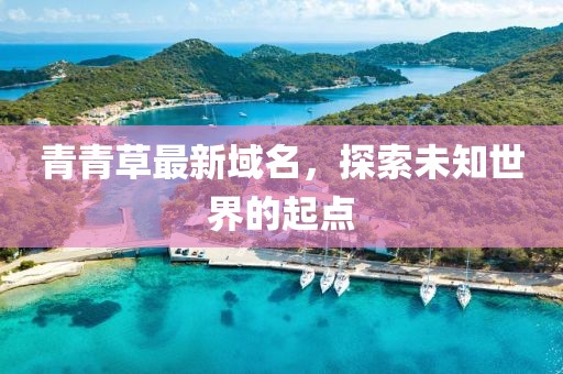 青青草最新域名，探索未知世界的起点